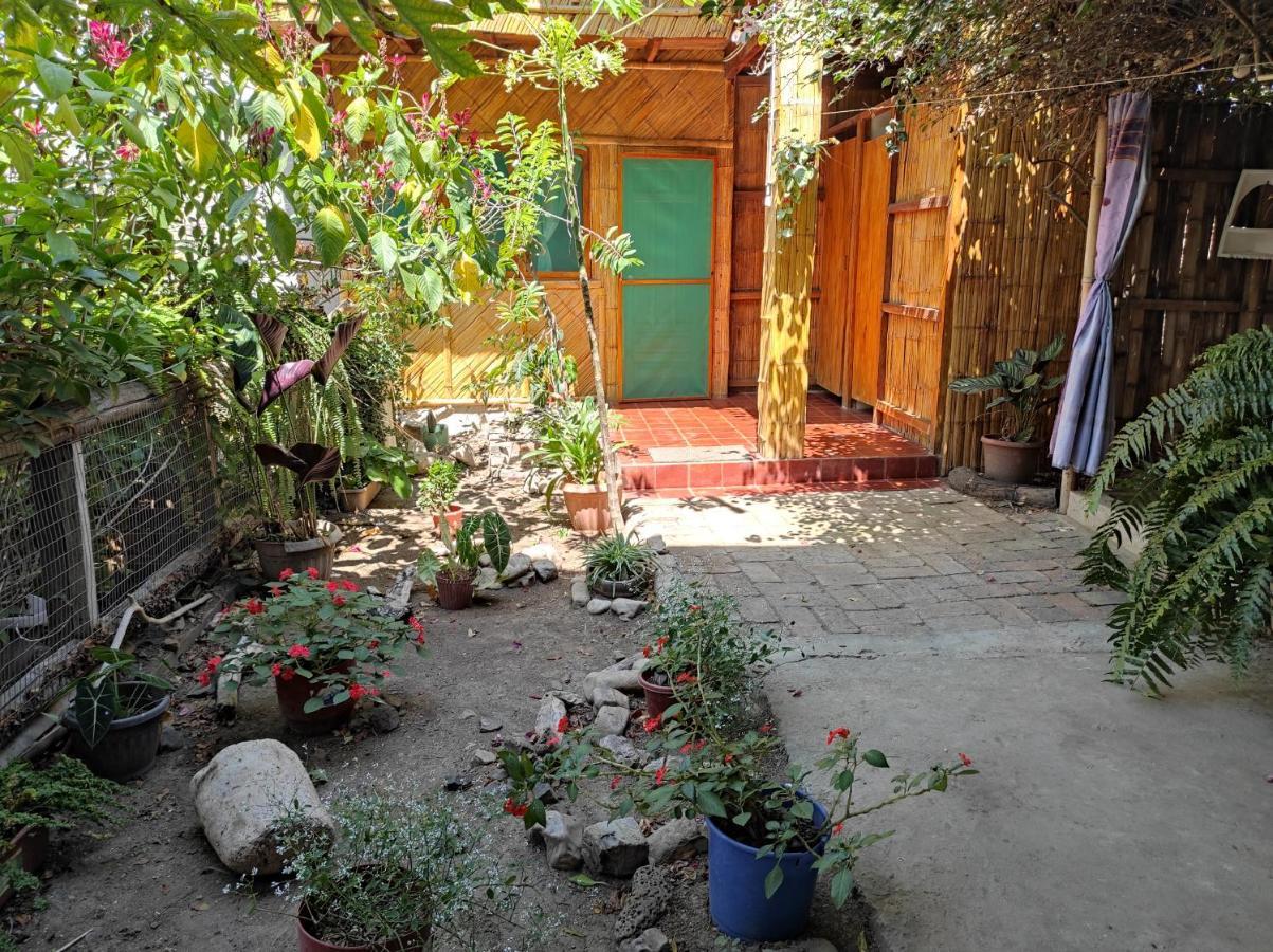 Wasimita Crucita Quarto foto